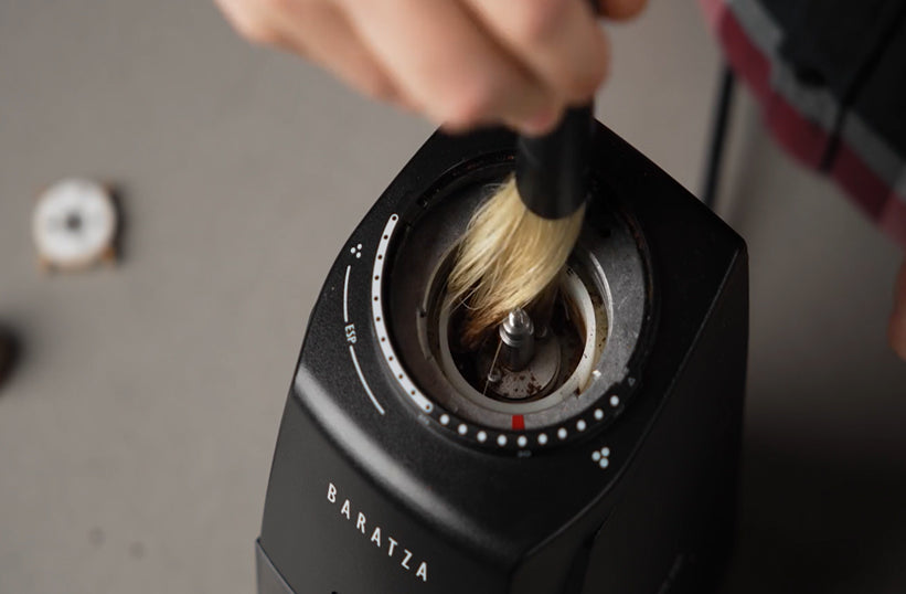 How to Clean Your Coffee Grinder