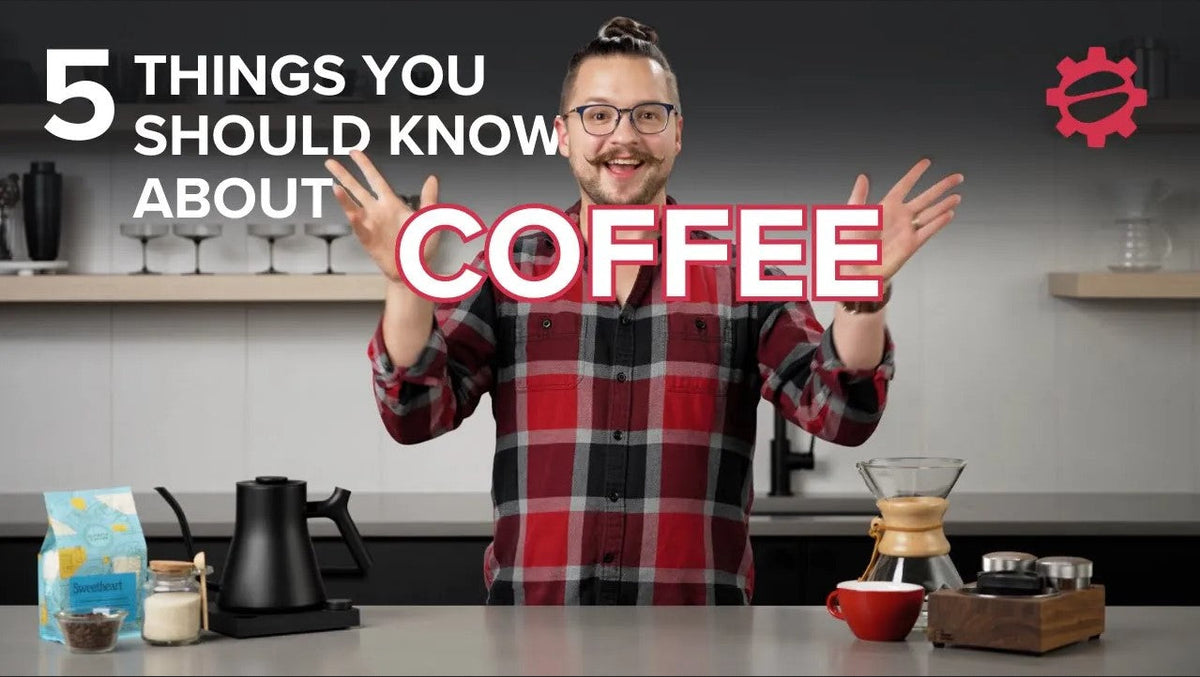 The Top 5 Things to Know About Coffee!