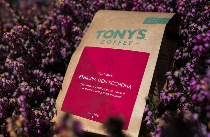 A bag of Tony's Coffee Ethiopia Deri Kochoha light roast surrounded by purple wildflowers
