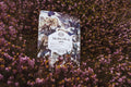 Roast of the Month: Methodical's Ethiopia Nano Challa