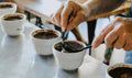 The Importance of Cupping